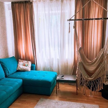 Cozy Apartment Bukovina 苏恰瓦 外观 照片