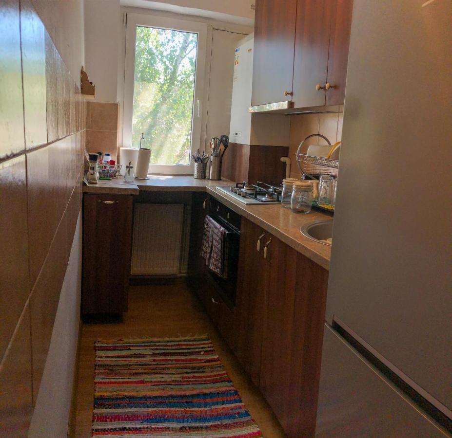 Cozy Apartment Bukovina 苏恰瓦 外观 照片