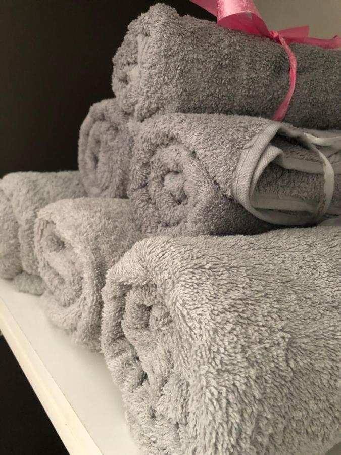 Cozy Apartment Bukovina 苏恰瓦 外观 照片